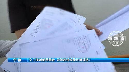 印花税怎么申报？漏报了会被罚吗？一文说清所有细节！