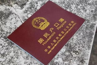 身份证丢了怎么办？补办流程、风险防范全攻略，一步到位不踩坑！