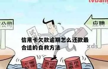 创业贷款逾期了，短信天天催？别慌！3步自救指南帮你稳住局面