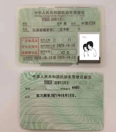驾驶证怎么查真假？手把手教你识破假证套路，关键时刻能避大祸！