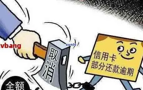 短信贷款逾期被备案了？别慌！教你三步逆转信用危机