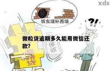 贷款严重逾期了，短信炸锅怎么办？别慌，三步自救指南来了！