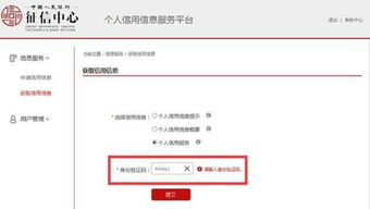 征信怎么看？别等贷款被拒才后悔没早懂这些门道！