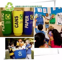 城市垃圾怎么分类?乱扔被罚了怎么办? 城市垃圾怎么分类?乱扔被罚了怎么办?