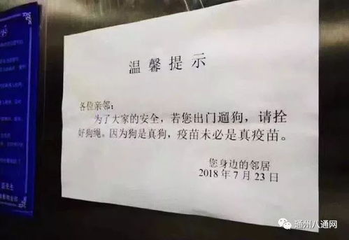 狗证怎么办?没办被罚了咋补救?一文讲清养狗合法的通关秘籍 狗证怎么办?没办被罚了咋补救?一文讲清养狗合法的通关秘籍