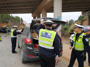 货车怎么查违章?一不小心被扣分罚款,老司机都容易踩坑! 货车怎么查违章?一不小心被扣分罚款,老司机都容易踩坑!