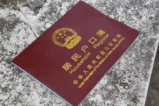遗失证件怎么办?一份遗失证明怎么写才有效?银行、派出所都认! 遗失证件怎么办?一份遗失证明怎么写才有效?银行、派出所都认!