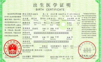 孩子上户口怎么填?填错影响上学、考公怎么办? 孩子上户口怎么填?填错影响上学、考公怎么办?