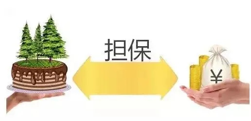 一、先搞清楚,你签的是哪种担保? 一、先搞清楚,你签的是哪种担保?