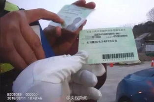 国际驾照怎么考?别被秒出证忽悠了,真相在这儿! 国际驾照怎么考?别被秒出证忽悠了,真相在这儿!