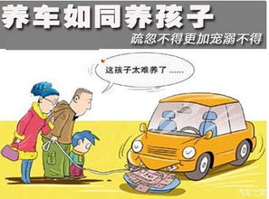 汽车保险怎么买才不踩坑?买贵了、买错怎么办? 汽车保险怎么买才不踩坑?买贵了、买错怎么办?