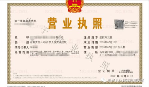 自己注册公司难不难?手把手教你避坑,从零到拿执照全攻略 自己注册公司难不难?手把手教你避坑,从零到拿执照全攻略