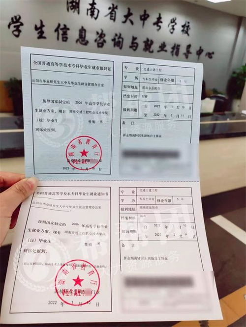 报到证丢了怎么办?补办流程+避坑指南,一次说清! 报到证丢了怎么办?补办流程+避坑指南,一次说清!
