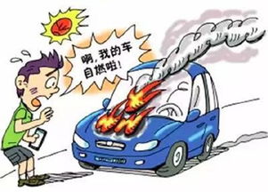 车险怎么买最划算?避坑指南+省钱妙招,老司机都在偷偷用! 车险怎么买最划算?避坑指南+省钱妙招,老司机都在偷偷用!