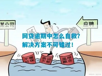 网贷还不上了怎么办?逾期后怎么自救? 网贷还不上了怎么办?逾期后怎么自救?