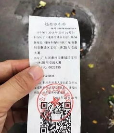 车停得挺稳,罚单来得猝不及防?违停怎么举报,才真正管用! 车停得挺稳,罚单来得猝不及防?违停怎么举报,才真正管用!