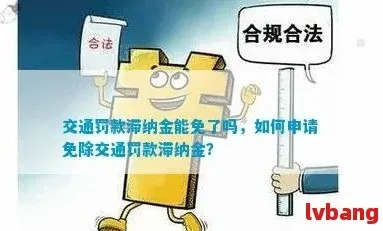 罚金怎么交？交错了怎么办？一文讲透流程与避坑指南