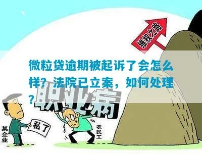 微立贷款逾期被起诉了怎么办？还能协商吗？