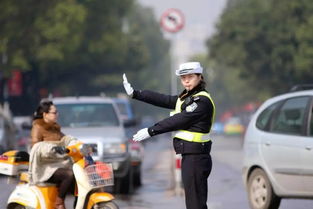 电动车罚款怎么交？交错了怎么办？交警不会告诉你的5个关键细节