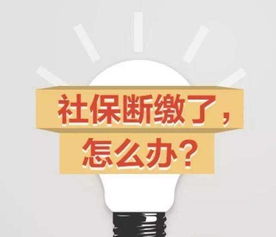怎么自己交社保?断缴了怎么办?手把手教你避坑! 怎么自己交社保?断缴了怎么办?手把手教你避坑!