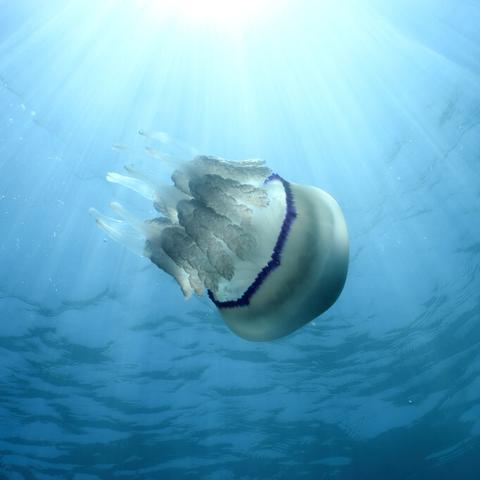 逾期6次被银行起诉?别慌!搞懂这几点,自救还来得及 逾期6次被银行起诉?别慌!搞懂这几点,自救还来得及