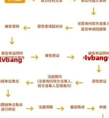 贷款逾期被起诉了怎么办？法院执行流程全解析，一文看懂自救路径