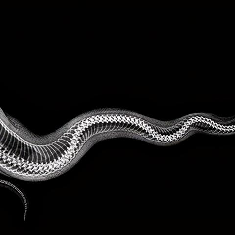 流动资金怎么算？算错一步，企业现金流可能断气！