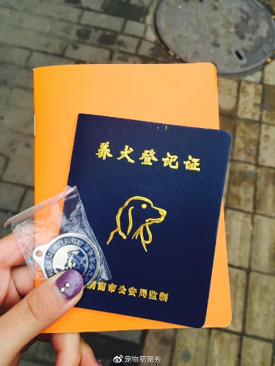 不办狗证会怎样？被罚了才知道后悔？