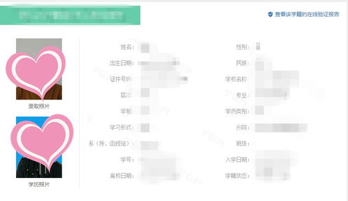 学籍怎么查？查不到怎么办？一文讲清所有门道！
