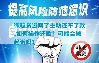 贷款王逾期被起诉了怎么办？手把手教你应对债务风暴