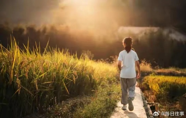 一、别慌!先搞清楚自己走到哪一步了 一、别慌!先搞清楚自己走到哪一步了