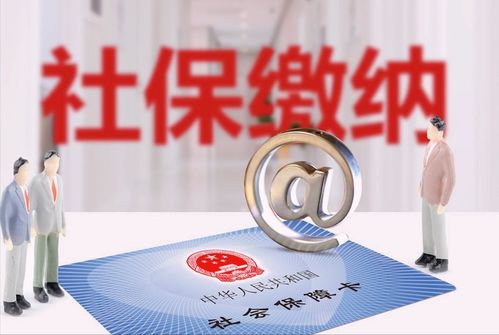 怎么交养老保险金？漏缴断缴怎么办？