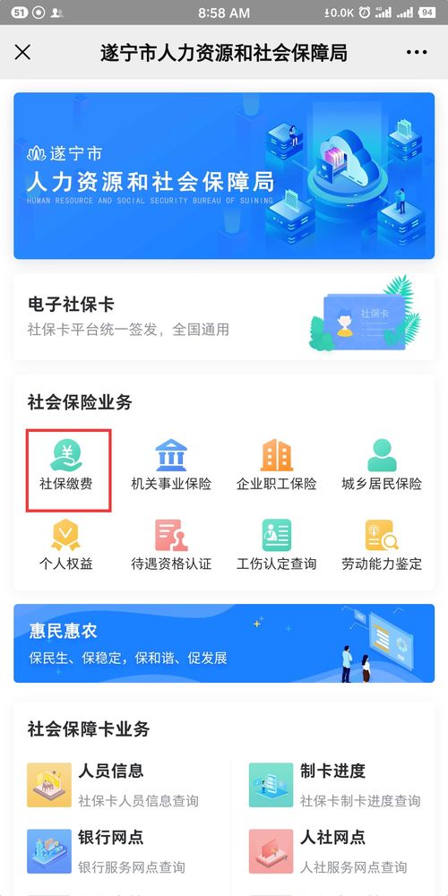 手机上怎么交社保？操作失误钱没到账怎么办？