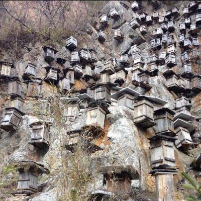 月平均工资怎么算？算错了少拿几千块，一文讲透别再被坑！