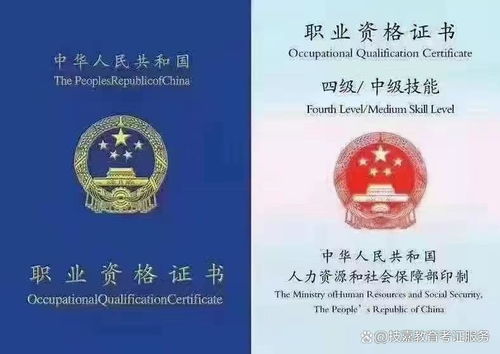 砍树也要持证上岗？砍伐证怎么办理？不办会怎样？一文说清楚！