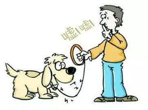 打人到底怎么判刑？轻则赔钱，重则坐牢，一拳下去可能毁一生！