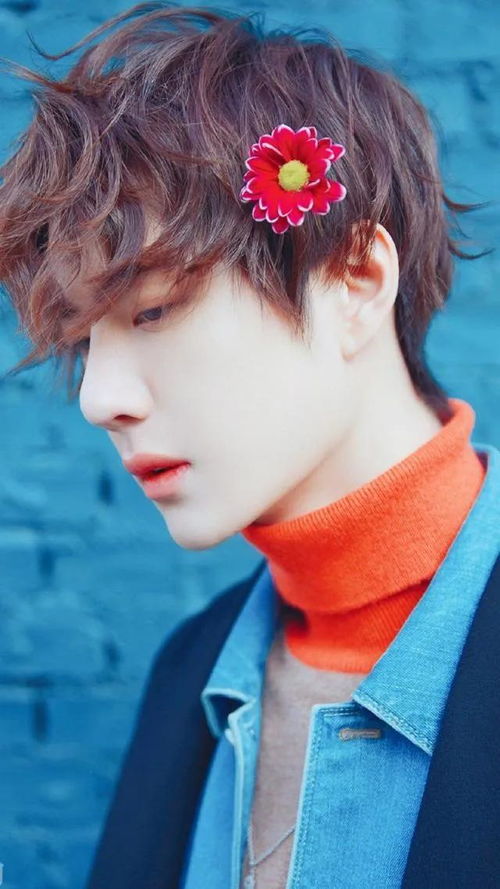 限行被拍了怎么办？罚多少？能申诉吗？一次说清别再踩坑！