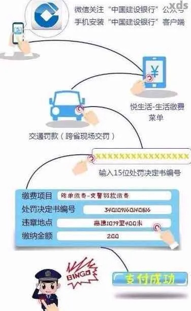 罚单怎么网上缴费？缴晚了会怎样？一文说清不踩坑