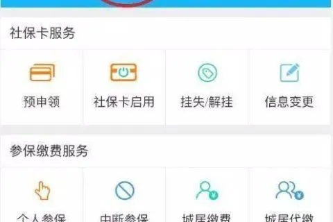 怎么查社保余额?一不小心漏缴了怎么办? 怎么查社保余额?一不小心漏缴了怎么办?