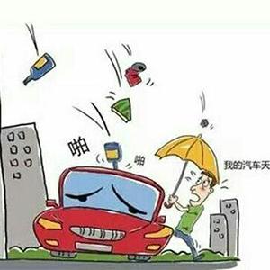 偷狗怎么判刑？狗被偷了报警有用吗？律师告诉你真实后果