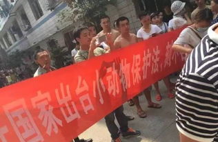 打群架怎么判刑?被拉进架里算共犯吗?律师一文说清后果和自救路 打群架怎么判刑?被拉进架里算共犯吗?律师一文说清后果和自救路