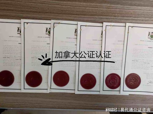 怎么开证明？一纸小文件为何卡住大事？这些坑千万别踩！