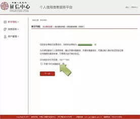 怎么查自己的征信报告？手把手教你避坑，别等贷款被拒才后悔！