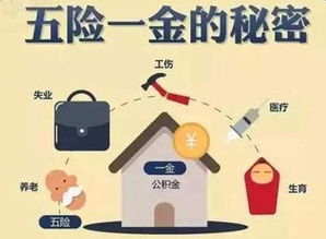 五险怎么交？自己交还是单位交？断缴了怎么办？