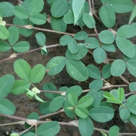 公租房怎么申请?材料不齐被拒怎么办?一文说清所有关键步骤! 公租房怎么申请?材料不齐被拒怎么办?一文说清所有关键步骤!