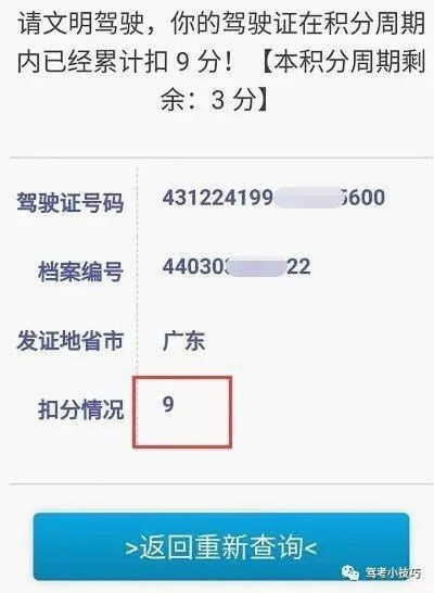 驾驶证怎么查?手把手教你查分、查状态,关键时刻不抓瞎! 驾驶证怎么查?手把手教你查分、查状态,关键时刻不抓瞎!