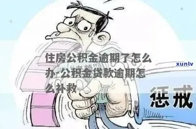 公积金贷款逾期了怎么办?催收办法全解析! 公积金贷款逾期了怎么办?催收办法全解析!
