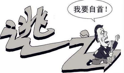 投案自首需要先请律师吗?自首前如何准备更有利 投案自首需要先请律师吗?自首前如何准备更有利