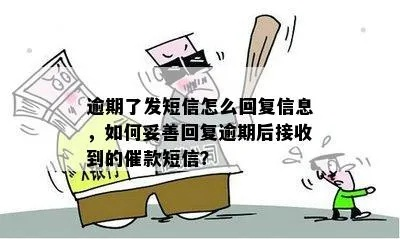催收逾期贷款的短信，如何应对？突然收到怎么办？