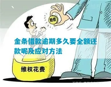 贷款逾期催收黄金期是什么？错过黄金期怎么办？